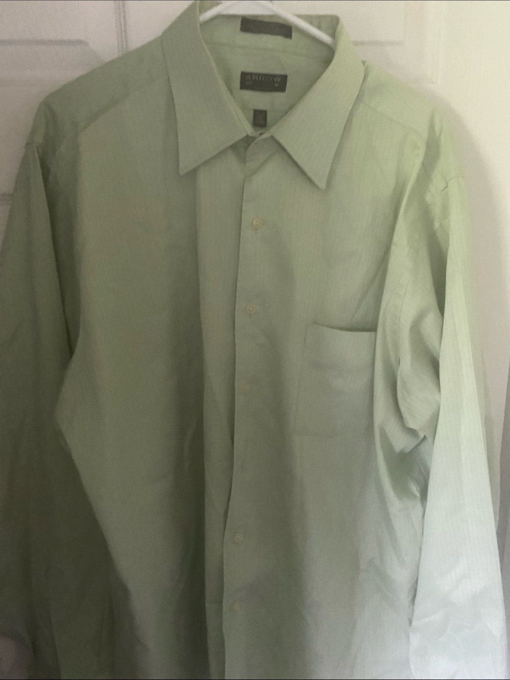Arrow Men's Pale Green Button-Up Dress Shirt